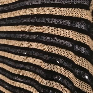 Zara navy/champagne sequin striped dress